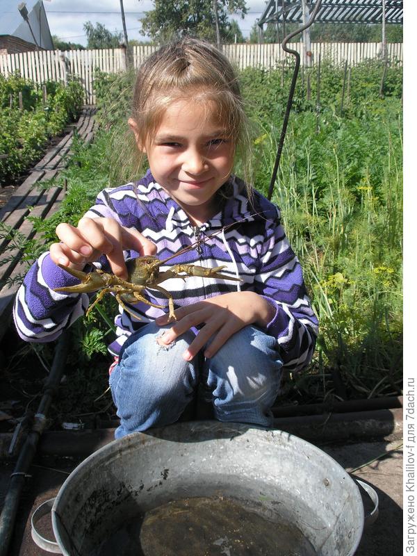 РАК. А я его небоюсь!