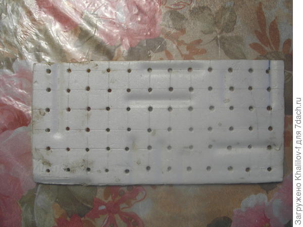 Трафарет для посадки семян лука Эксибишен. Изготовлен из куска потолочной декоративной плиты.