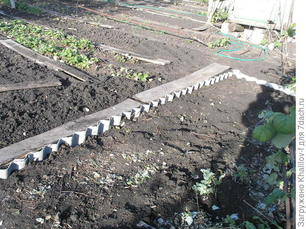 Обрамление посадки малины шифером.