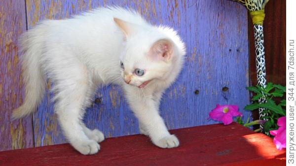 А потом было вот так!!!