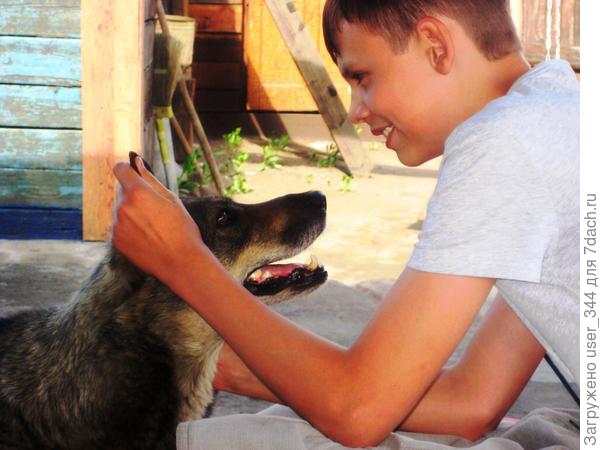Любовь, взаимопонимание и доверительные беседы.