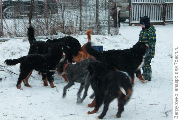 играть-играть-играть!!