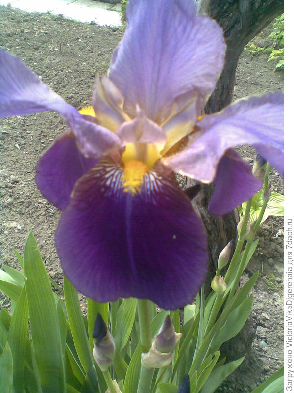 Я просто порхаю от счастья.