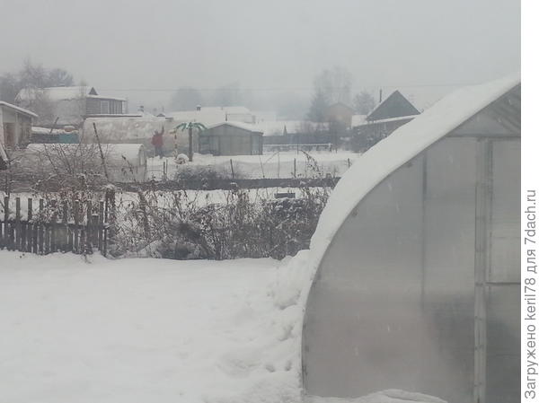 зима