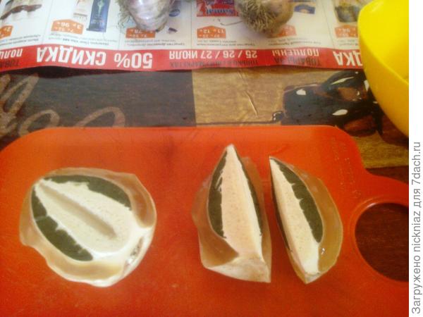 земляное яйцо гриба веселки