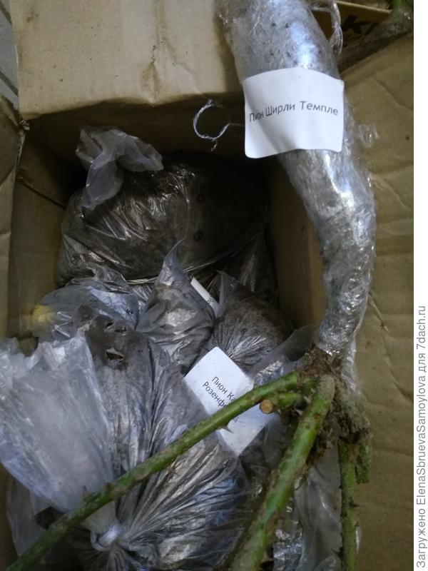 Видимо, первоапрельская шутка.(((