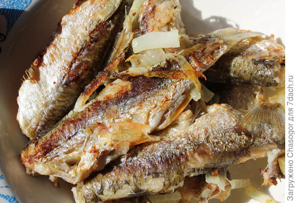 жареный елец