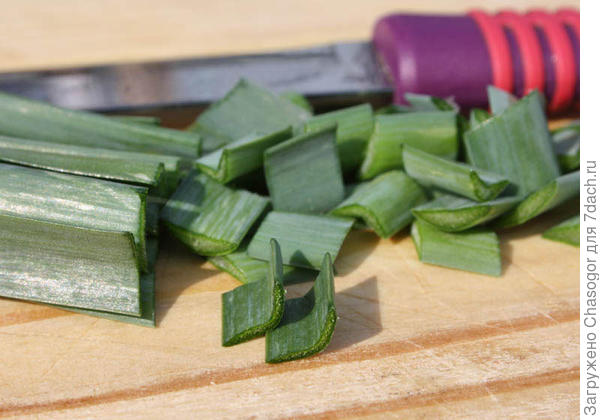 вот такая сочная мясистая зелень