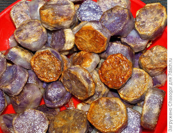 жареный кружками