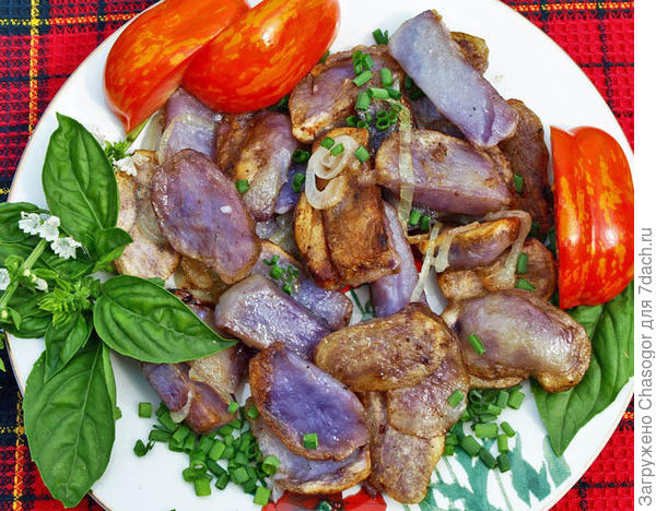 жареный ломтиками