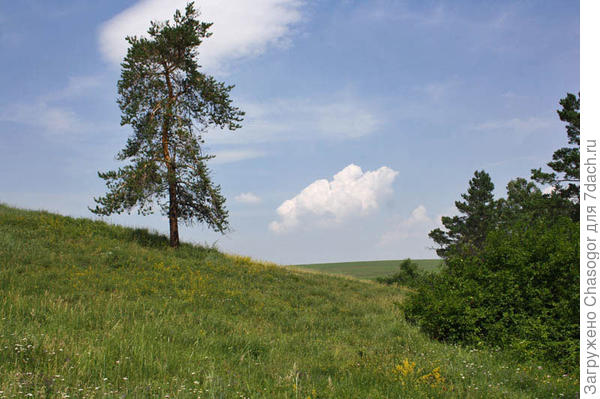 пригорки