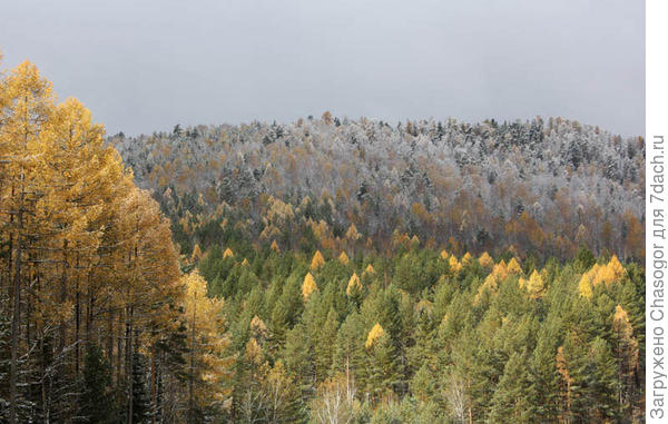 свет осени