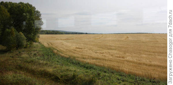 поля по пути