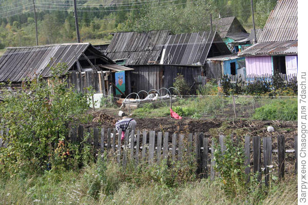 село Отроги