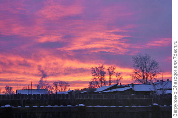 утро 5 декабря, сегодня
