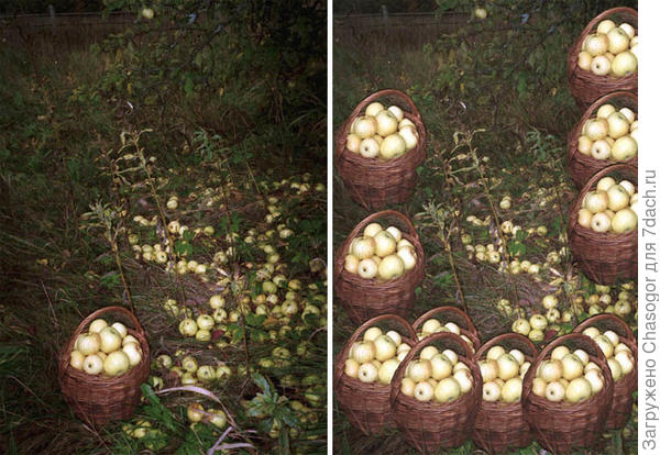 урожай увеличен в 10 раз