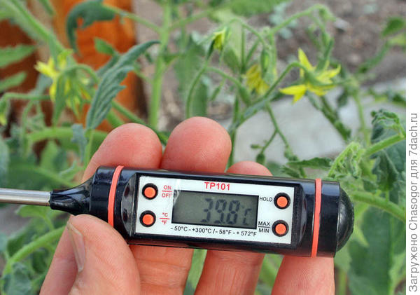 температура в теплице