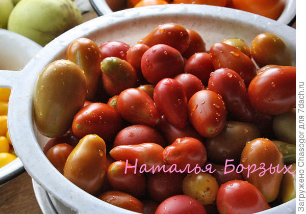 Чёрный мавр