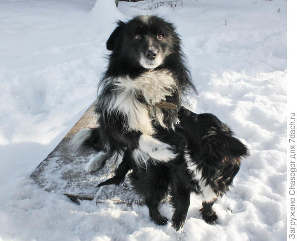 Уйди, меня снимают!