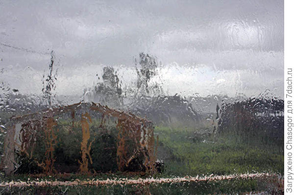 дождь за окном - огород поливать не надо!