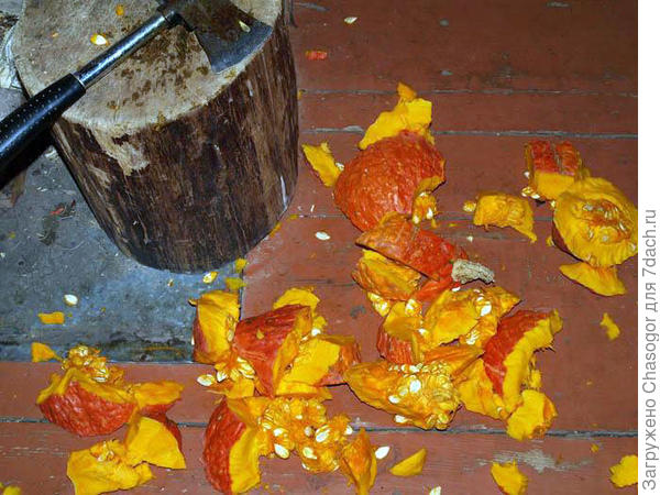 и его судьба