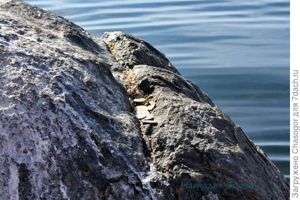 здесь надо оставлять монетки Шаману