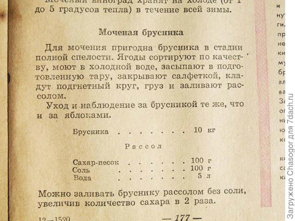 мочёная брусника