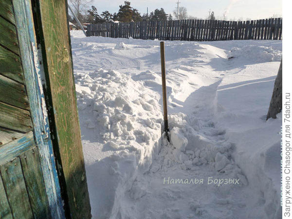 замучилась прокапывать тропу после метелей