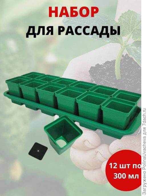 для рассады