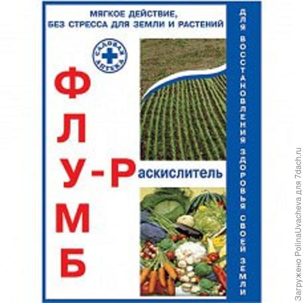 вот такой у меня