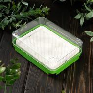 проращиватель