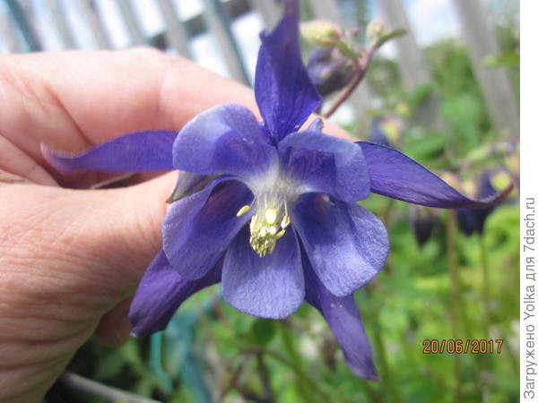 Само совершенство!