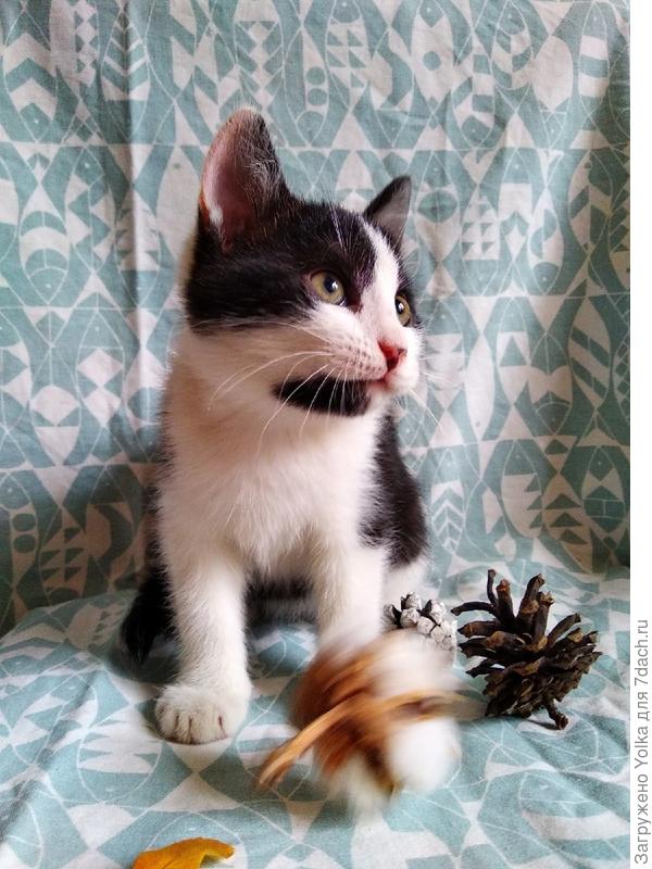 Потихоньку подрастаю.