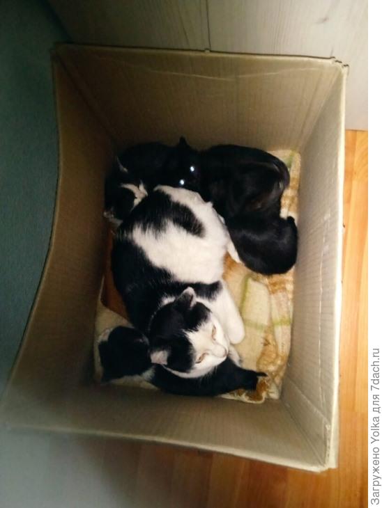 Вот такой поворот в судьбе.