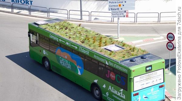 Autobus s rostlinami na střeše. Fotografie z ecotechnica.com.ua