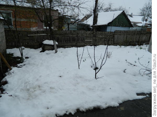 Вид из окна