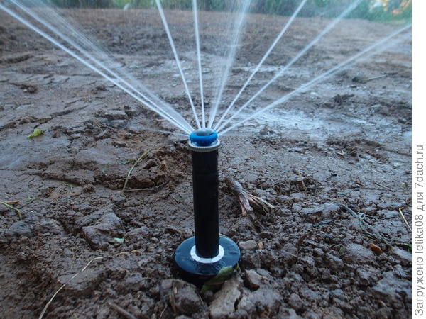 Запуск поливной системы