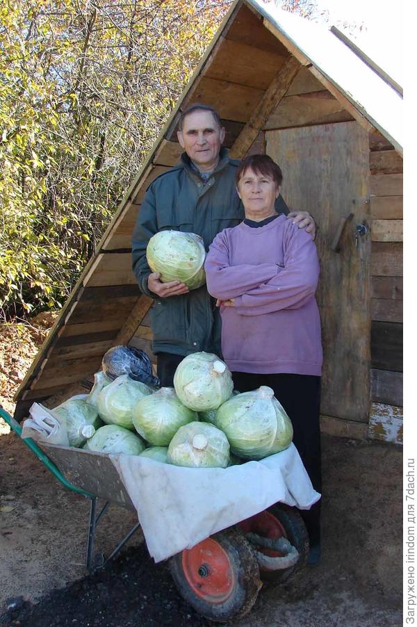 наши помощники