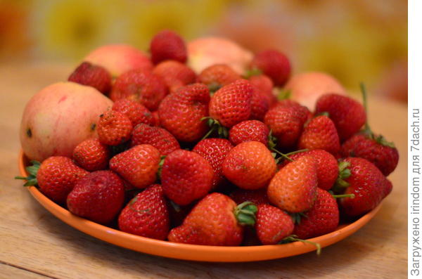 клубника альбион