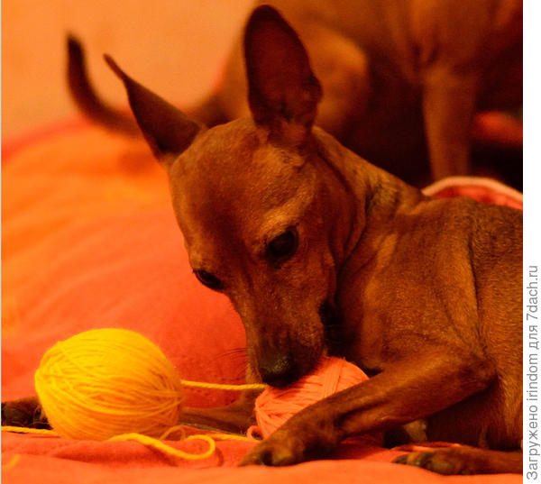 баланс белого