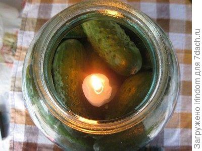 огурцы