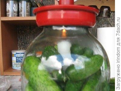 огурцы