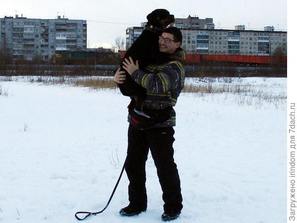 ротвейлер