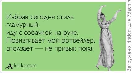 мода