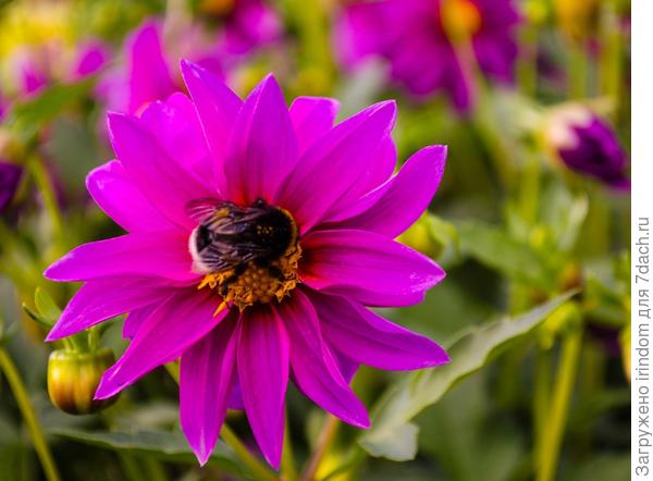 с днем рождения