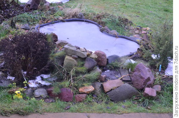 Рождественские морозы)))