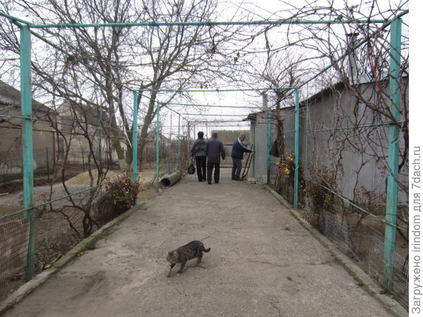вопрос