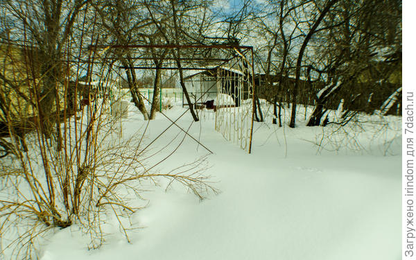 зима