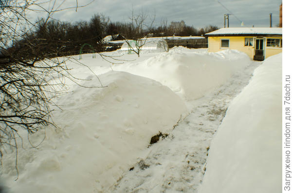 дорожка