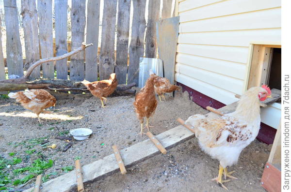 не пора ли домой